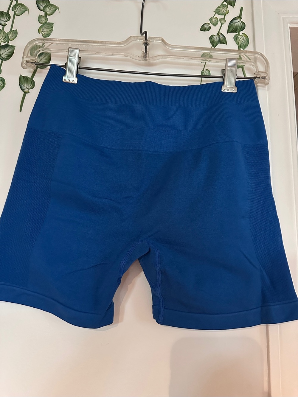 High-Rise Seamless Royal Blue Bike Shorts